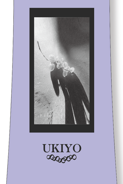 Ukiyo Snowboard｜ Owner ｜ ( 147 / 151 ) – Ukiyo Tokyo